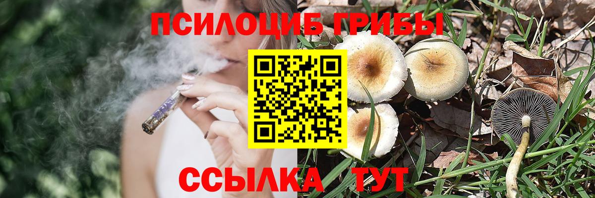 Псилоцибиновые грибы мицелий Железногорск