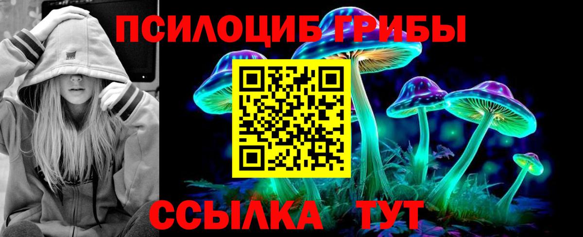 Железногорск  Псилоцибиновые грибы ЛСД  Вход с VPN  Псилоцибиновые грибы ЛСД 